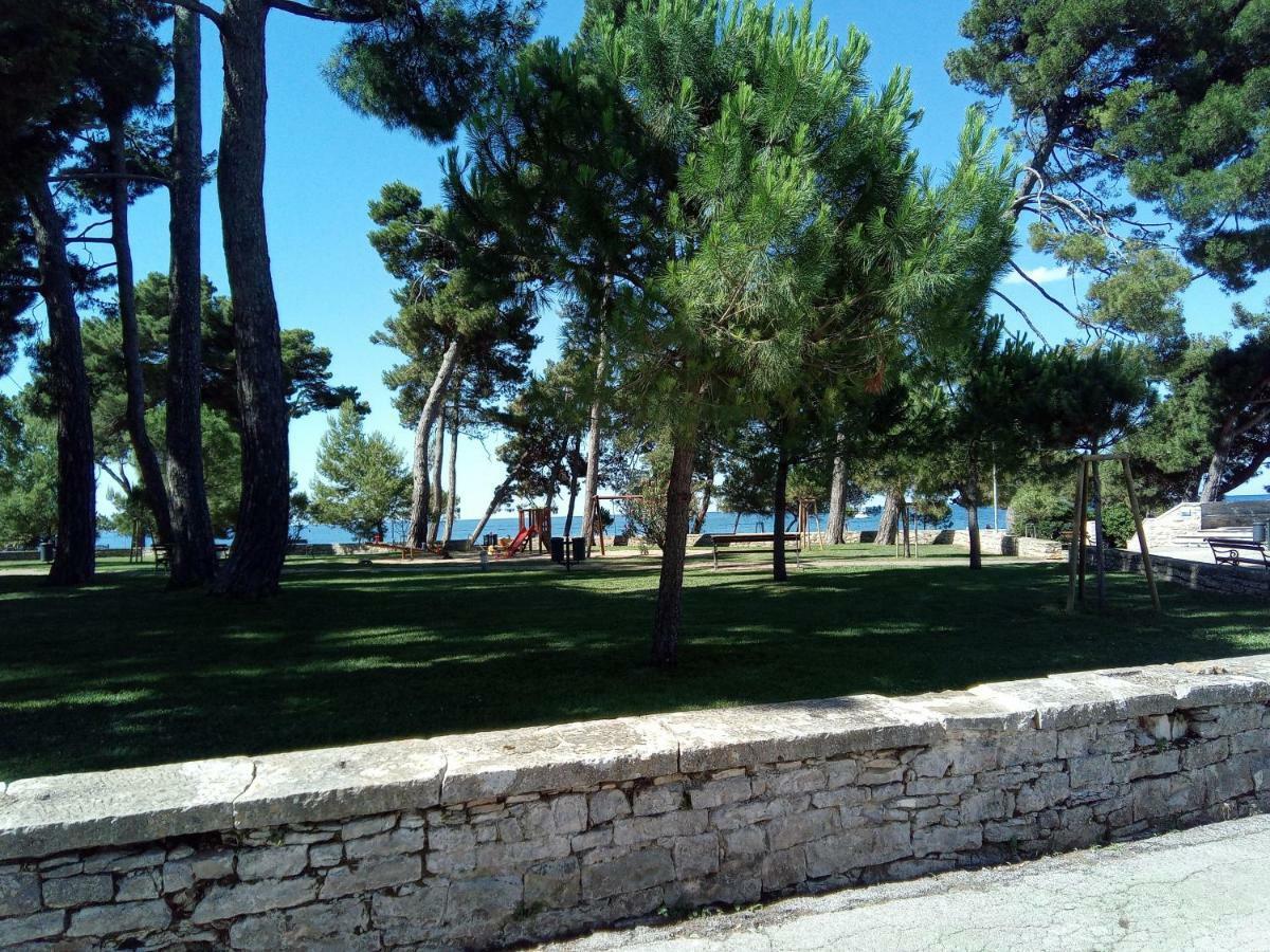 Skipper Suites Novigrad Istria Esterno foto